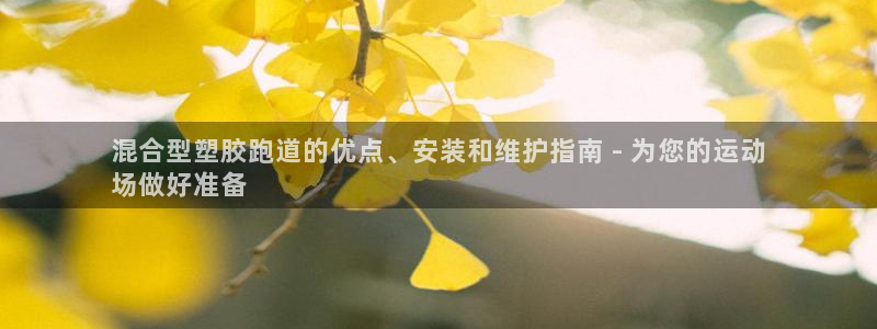 谈球吧tvt：混合型塑胶跑道的优点、安装和维护指南 - 为您的运动
场做好准备