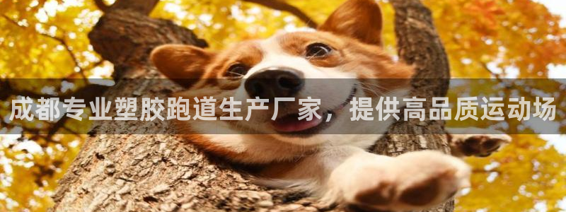 谈球吧体育综合台：成都专业塑胶跑道生产厂家，提供高品质运动场