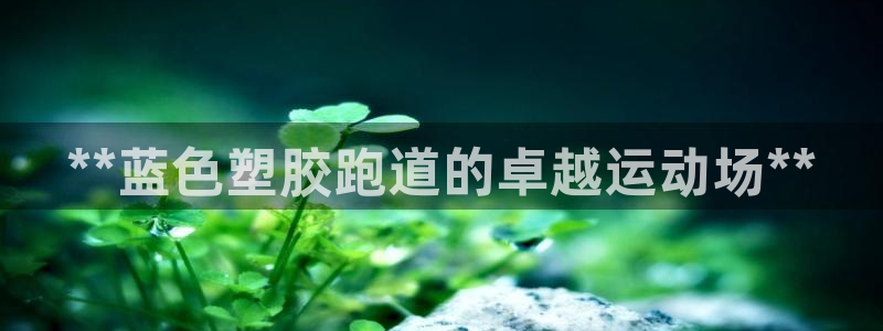 谈球吧出款：**蓝色塑胶跑道的卓越运动场**
