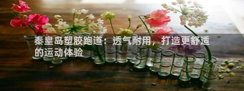 谈球吧官网app下载：秦皇岛塑胶跑道：透气耐用，打造更舒适
的运动体验