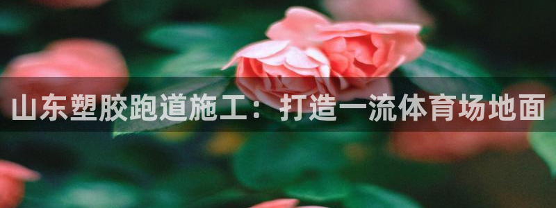 谈球吧app靠谱吗：山东塑胶跑道施工：打造一流体育场