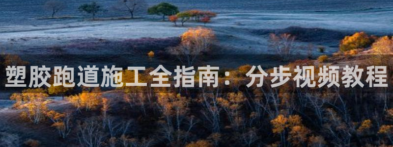谈球吧(中国)官方网站：塑胶跑道施工全指南：分步视频教程