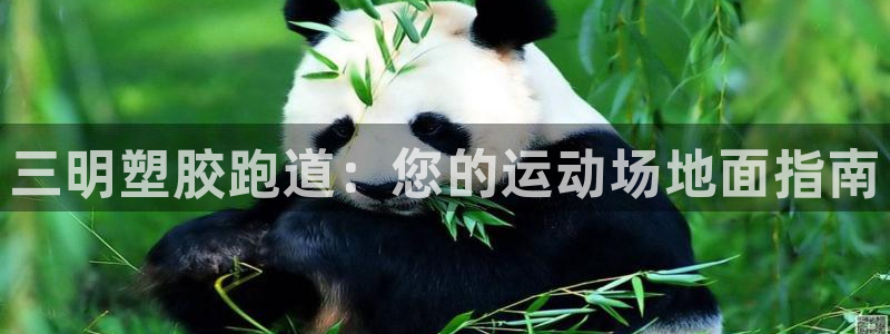 谈球吧娱乐app下载官网苹果版：三明塑胶跑道：您的运动场地面指南