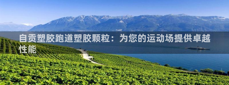 谈球吧下载：自贡塑胶跑道塑胶颗粒：为您的运动场提供卓越
性能