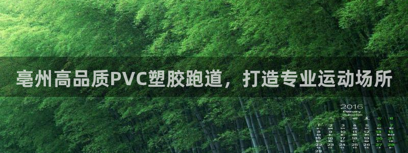 谈球吧体育app下载中心官方：亳州高品质PVC塑胶跑道，打造专业运动场所