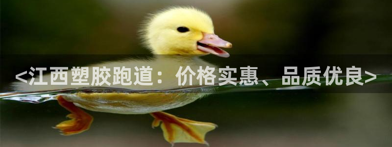 谈球吧网页登录：<江西塑胶跑道：价格实惠、品质优良>