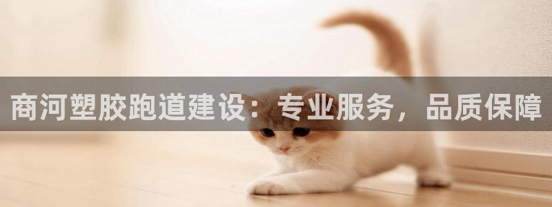谈球吧属于哪个旗下：商河塑胶跑道建设：专业服务，品质