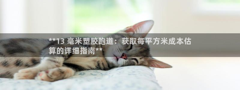 谈球吧是正规平台吗：**13 毫米塑胶跑道：获取每平方米成本估
算的详细指南**