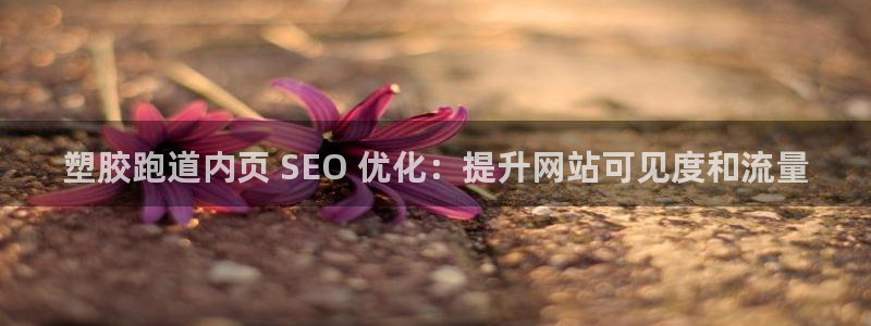 谈球吧网页登录：塑胶跑道内页 SEO 优化：提升网站