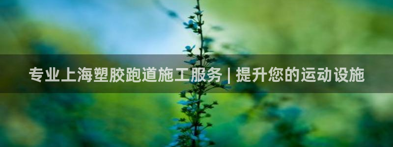 谈球吧体育app下载足球比赛直播：专业上海塑胶跑道施工服务 | 提升您的运动设施