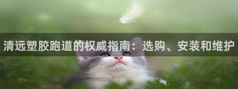 谈球吧app体育下载