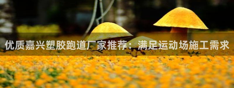 谈球吧体育app下载中心官网：优质嘉兴塑胶跑道厂家推荐：满足运动场施工需求