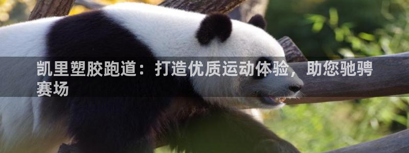 谈球吧中国