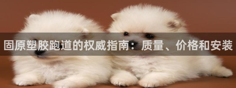 谈球吧官网在线入口免费观看视频下载：固原塑胶跑道的权威指南：质量、价格和安装