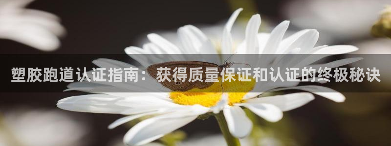 谈球吧体育app登陆不了：塑胶跑道认证指南：获得质量保证和认证的终极秘诀