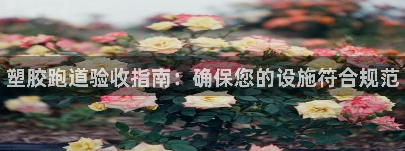 谈球吧体育app官网下载：塑胶跑道验收指南：确保您的设施符合规范