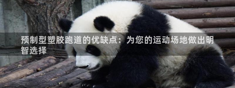 谈球吧app官网