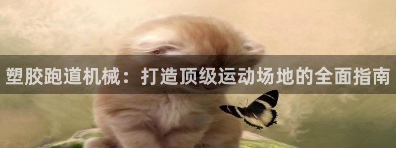 谈球吧体育app下载官网苹果：塑胶跑道机械：打造顶级运动场地的全面指南