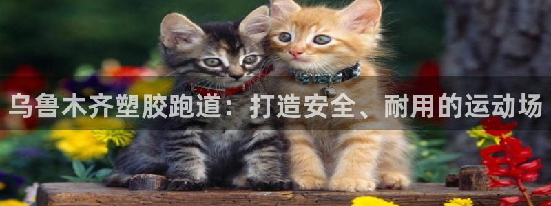 谈球吧全站app下载：乌鲁木齐塑胶跑道：打造安全、耐用的运动场