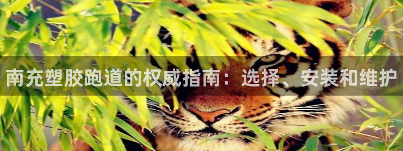 谈球吧官网入口：南充塑胶跑道的权威指南：选择、安装和维护