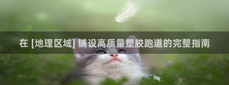 谈球吧app下载ios：在 [地理区域] 铺设高质量塑胶跑道的完整指南