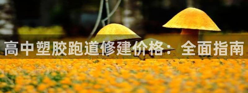 谈球吧算违法行为吗：高中塑胶跑道修建价格：全面指南