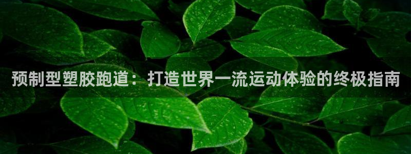 谈球吧是正规平台吗知乎：预制型塑胶跑道：打造世界一流运动体验的终极指南