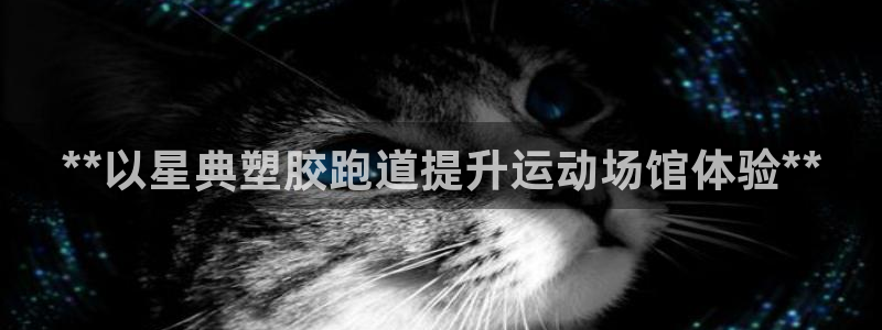 谈球吧体育app下载足球比赛直播：**以星典塑胶跑道提升运动场馆体验**