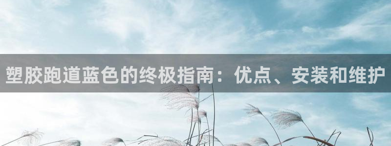 谈球吧官网在线入口免费观看视频：塑胶跑道蓝色的终极指南：优点、安装和维护