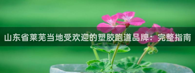 谈球吧平台