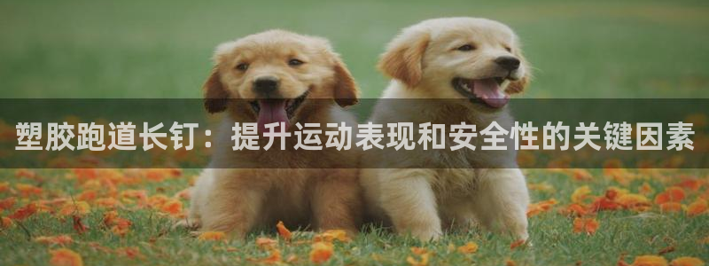 谈球吧体育综合台：塑胶跑道长钉：提升运动表现和安全性的关键因素