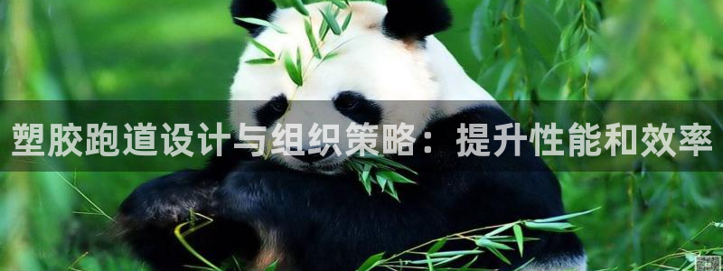 tqb谈球吧：塑胶跑道设计与组织策略：提升性能和效率