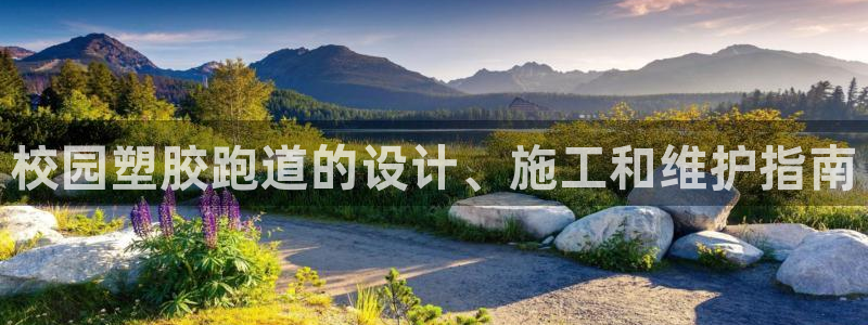 谈球吧的聊天软件叫什么名字：校园塑胶跑道的设计、施工和维护指南