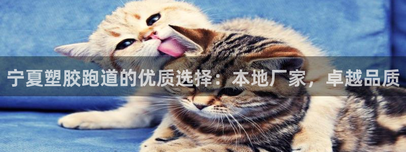 谈球吧官网在线入口手机版：宁夏塑胶跑道的优质选择：本地厂家，卓越品质