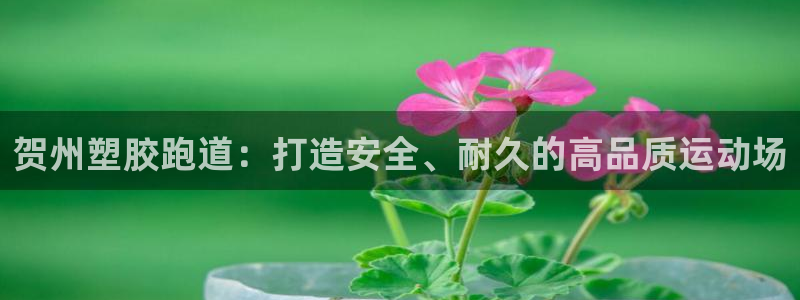 谈球吧登录网：贺州塑胶跑道：打造安全、耐久的高品质运动场