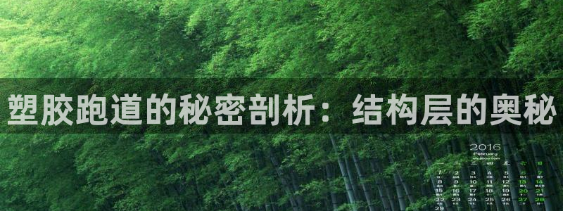 谈球吧首充金额截图：塑胶跑道的秘密剖析：结构层的奥秘