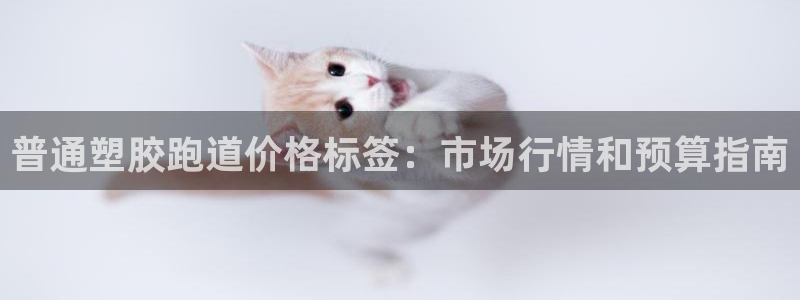 谈球吧体育app官网：普通塑胶跑道价格标签：市场行情和预算指南