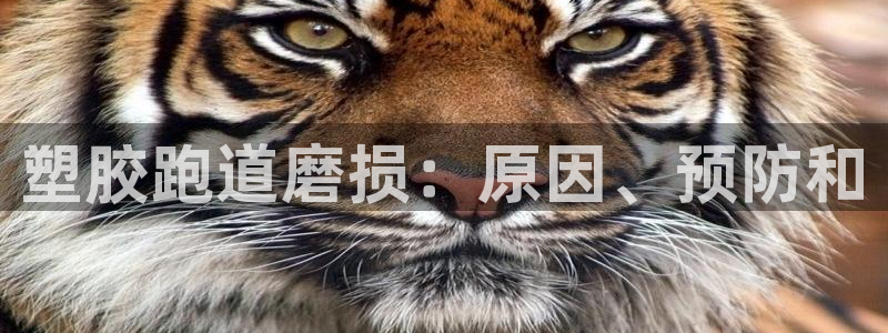 谈球吧体育ios下载：塑胶跑道磨损：原因、预防和