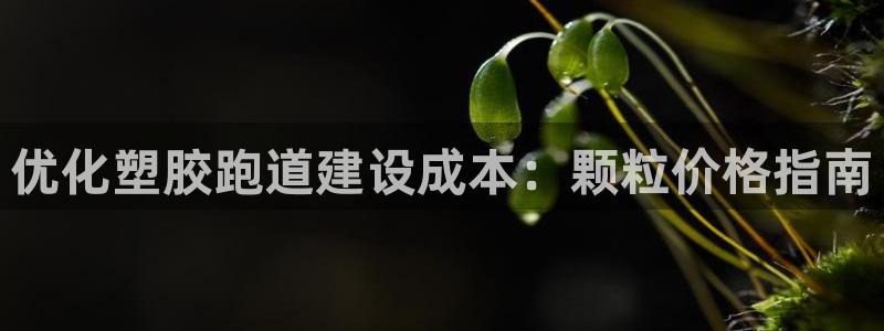 谈球吧买球靠谱吗：优化塑胶跑道建设成本：颗粒价格指南