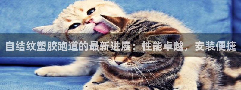 谈球吧app靠谱吗：自结纹塑胶跑道的最新进展：性能卓越，安装便捷