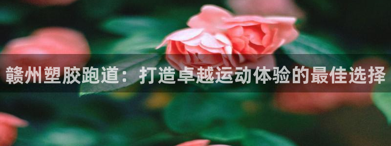 谈球吧红包激活码：赣州塑胶跑道：打造卓越运动体验的最佳选择