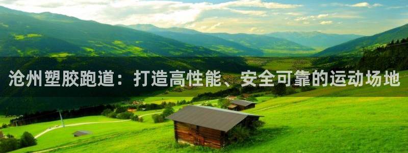 谈球吧体育app官网：沧州塑胶跑道：打造高性能、安全可靠的运动场地
