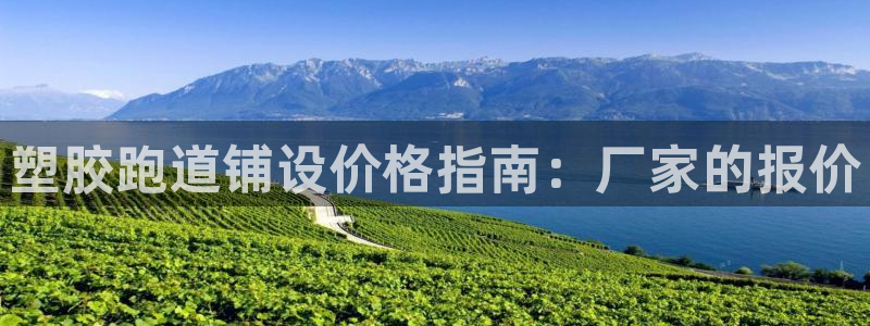 谈球吧体育官方入口：塑胶跑道铺设价格指南：厂家的报价