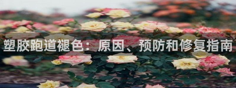 谈球吧体育app下载中心在哪：塑胶跑道褪色：原因、预防和修复指南