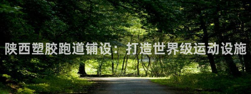 谈球吧不出款：陕西塑胶跑道铺设：打造世界级运动设施
