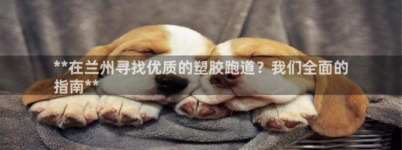 谈球吧体育官网在线入口免费观看：**在兰州寻找优质的塑胶跑道？我们全面的
指南**