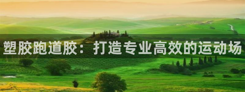 谈球吧平台黑吗?：塑胶跑道胶：打造专业高效的运动场