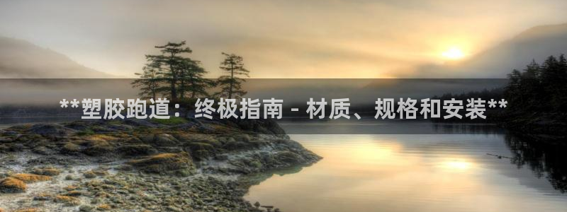 谈球吧登录地址：**塑胶跑道：终极指南 - 材质、规格和安装**