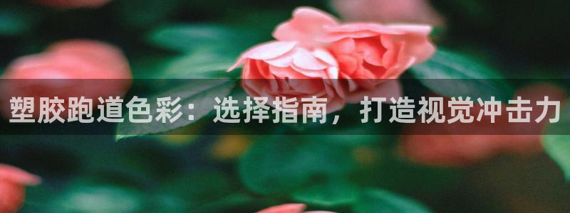 谈球吧体育官网在线入口免费观看：塑胶跑道色彩：选择指南，打造视觉冲击力