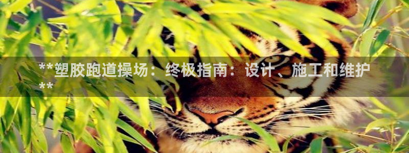 谈球吧体育app登陆入口：**塑胶跑道操场：终极指南：设计、施工和维护
**